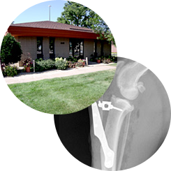 Our Clinic & X-Ray - Veterinary Radiology Roseville, MN