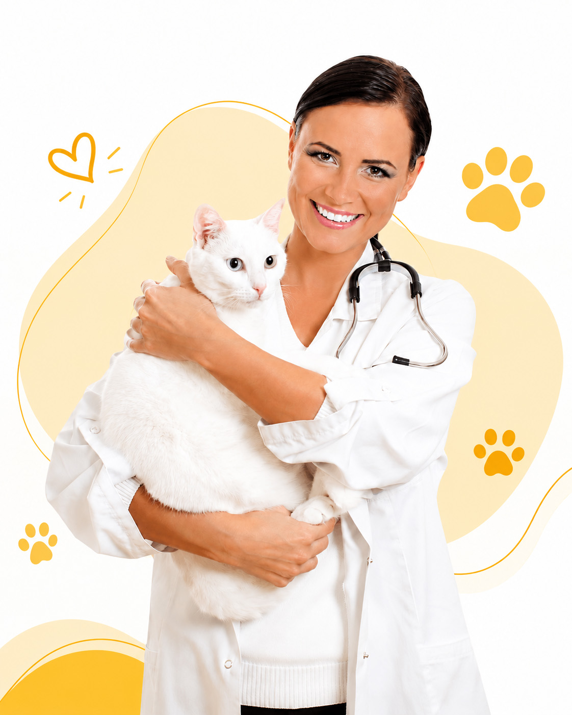 Doctor Holding a Cat